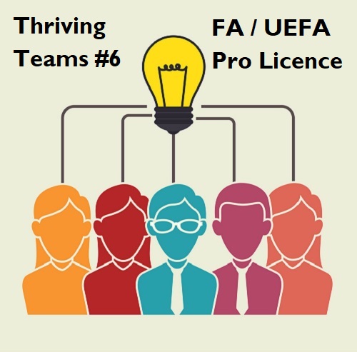 Thriving Teams #6: The FA/UEFA Pro Licence and High-Performing&nbsp;Teams