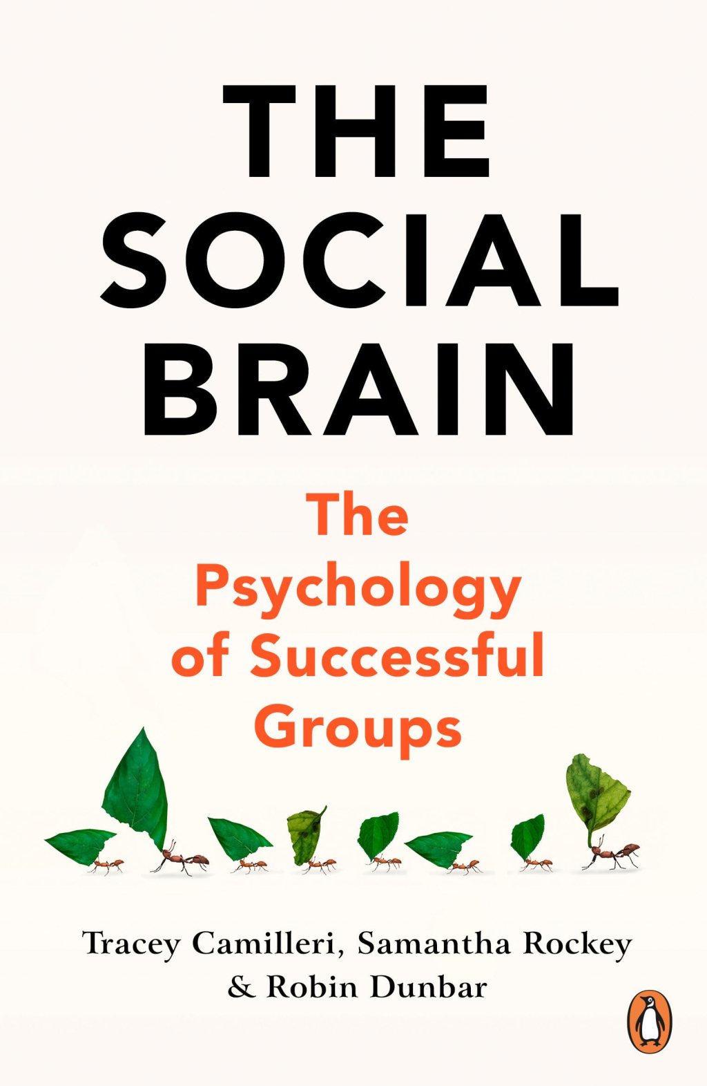 The Social Brain: the psychology of successful groups