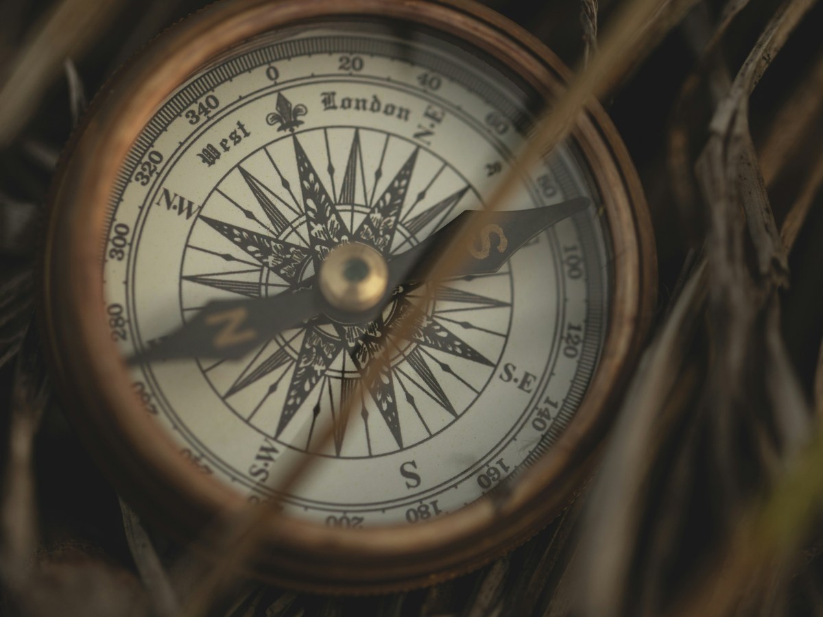 An adoptee: reflections on schools and&nbsp;leadership